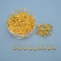 Golden round head earring studs with hanging loops and plastic storage case for DIY jewelry - Gold