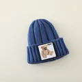Thick navy blue knitted baby beanie with a cute teddy bear patch for winter warmth - 2-7 Years (Elastic) / Blue