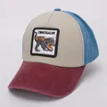 Detail of kids patchwork baseball cap with embroidered dinosaur patch and vintage wash - Beige Blue Red (Dinosaur)