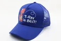 Detail of blue mesh baseball cap featuring a red T-Rex cartoon and breathable back panels - Kids (2-7 Years) / Solid Royal Blue