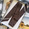 Detail of coffee bean pattern silk scarf with France Paris text in a gift box - Dark Brown