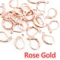 Rose gold 925 stamped 15x10mm D-shaped spring earring hooks for DIY jewelry making - Rose Gold