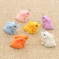 Mixed color resin rabbit pendants with fur texture for DIY jewelry making set of six - Cartoon Rabbit Style (AG2-09) / 21x22mm