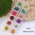 Gedroogde bloemen voor nagelkunst in 12 kleuren voor DIY manicure en nageldecoratie - F03 (F03)