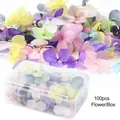 Set di 100 petali di ortensia essiccati colorati in scatola per nail art fai da te - In Scatola (Stile Fiore Secco B)
