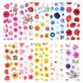 Adesivi per unghie con motivi floreali, rose rosa e pizzo per manicure di San Valentino - Stile Floreale Multicolore Brillante (8202)