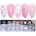 STZH-06 nail stamping plate with floral dandelion designs and butterfly motifs - Dandelion and Fairy Theme (STZH-06)