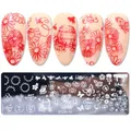Honey bee and flower pattern nail stamping plate set with metal templates and fake nails - Bee and Natural Honey Theme (STZH-10)