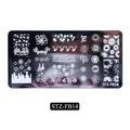 STZ-FB14 stainless steel nail stamping plate with festive Christmas and New Year patterns - Steel Plate Fb-14 (single Bare Piece)