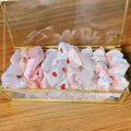 Assorted cute satin scrunchies set displayed in a premium glass jewelry box - 10 Pieces Pack / Vanilla