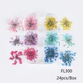 Natuurlijke gedroogde bloemset 6 kleuren voor DIY nail art, model FL300 24 stuks - FL300 (FL300)