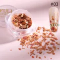 Erdtonfarbene Glimmer-Nagelkunstflocken in einer runden Dose für warmes Maniküre-Design - Rotbraune Mischung (#03)