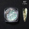 Nail art holographic glitter flakes #07 with aurora effect in 0.1g acrylic box - Multicolor Aurora Sparkle (OB07)