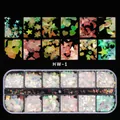 Makro-Detail von 12-Raster-Nagelglitzer-Set mit irisierenden Sternen und Herzen - Aurora Mauskopf Stern Mond Stil (F-HW-1)