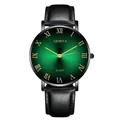 Detail of green sunburst gradient dial and golden Roman numerals on quartz watch - Black/Green
