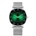 Men's silver mesh watch with a vibrant gradient green sunburst dial and Roman numerals - Silver Case Green Dial