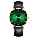 Close-up of golden watch case with green sunburst gradient dial and Roman numerals - Gold Case Green Dial Black Strap