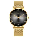Detail of grey gradient dial with Roman numerals and golden mesh strap on quartz watch - Gold Band Black Dial