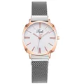 Reloj de cuarzo para mujer con caja oro rosa, correa de malla plateada y diamantes - Blanco Plateado