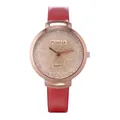 Detail of red leather strap and sparkling gold dial on rose gold quartz watch - Red