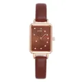Detailed macro view of square brown watch face with gold case and leather strap - Brown