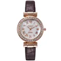 Dettaglio della lunetta in oro rosa con strass e numeri romani sul quadrante bianco - Marrone