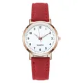 Elegante Quarzuhr mit rotbraunem Wildlederarmband und roségoldenem, schlichtem Zifferblatt - Rot