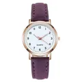 Macro dell'orologio al quarzo minimalista con cinturino viola opaco e cassa oro rosa - Solo Orologio Viola