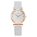 Detailed macro view of white textured dial with rose gold markers and leather strap - Light Blue Watch
