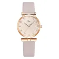 Detail of champagne gold sunray dial with Arabic numerals and grey suede leather strap - Beige Single Watch