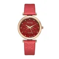 Close-up of starry sky watch dial with red floral texture and rose gold casing - Red Watch Only