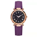 Macro della cassa in oro rosa con quadrante stellato blu e numeri romani dell'orologio - Orologio / Viola