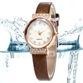 Detailed macro of a gold women watch with rhinestone dial and brown leather band - Coffee