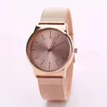 Elegant rose gold mesh strap quartz watch for women with radiant sunray textured dial - Rose Gold Single Watch