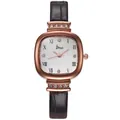 Elegant rose gold square quartz watch with Roman numerals and brown leather strap - Watch Only / White