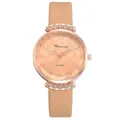 Macro detail of rose gold quartz watch with champagne dial and pink leather strap - Earth Pattern Beige