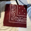 Donkerrode paisley bandana van glad polyester met klassiek hiphopstijl patroon - Bordeauxrood