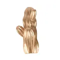 Gancio in resina cactus oro opaco con venature verticali e due rami decorativi - Stile A / Oro