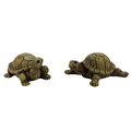 Realistic resin turtle ornaments featuring detailed shell textures and natural brown finish - Turtle Set