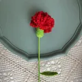 Detail of handcrafted crochet red carnation flower with clear yarn texture and green leaf - Red