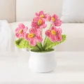 Handmade crochet pink forget-me-not potted plant in white ceramic vase on a desk - Deep Pink