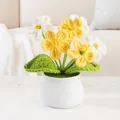 Handmade crochet forget-me-not flower in white pot with yellow and white petals - Gradient Yellow