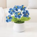 Handmade crochet forget-me-not flowers in a white ceramic pot with blue blossoms - Blue