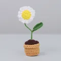 Handmade crochet white daisy flower in a mini knitted pot for home or car decor - Daisy