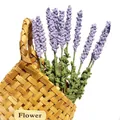 Bouquet de lavande violet au crochet fait main avec feuilles vertes dans un panier - Mauve Clair