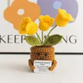Handgemaakte gehaakte potplant met gele bloemen en emotionele steun kaart - 3-Kops Lelietje-van-dalen Geel