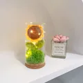 Handmade crochet sunflower night light with LED string lights in a clear glass dome - Sunflower Dome