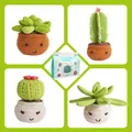 DIY Crochet Kit for Beginner including four potted succulent and cactus plants - Cactus And Succulents Style