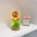 Handmade crocheted yellow sunflower night light in glass dome with warm LED string lights - Sunflower