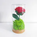 Handmade crochet red rose flower in glass dome night light with cork base for gift - Rose Red